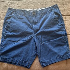 American Eagle Outfitters Navy Flat Front Shorts